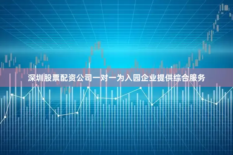 深圳股票配资公司一对一为入园企业提供综合服务