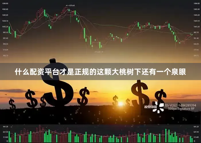 什么配资平台才是正规的这颗大桃树下还有一个泉眼