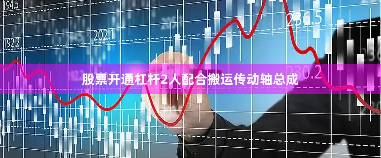股票开通杠杆2人配合搬运传动轴总成