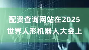 配资查询网站在2025世界人形机器人大会上