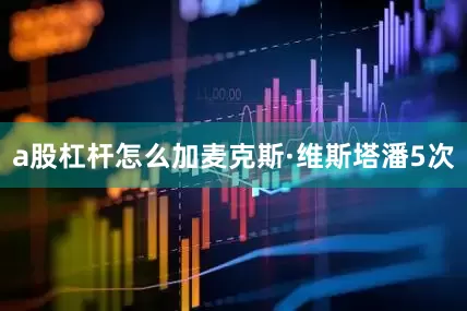 a股杠杆怎么加麦克斯·维斯塔潘5次