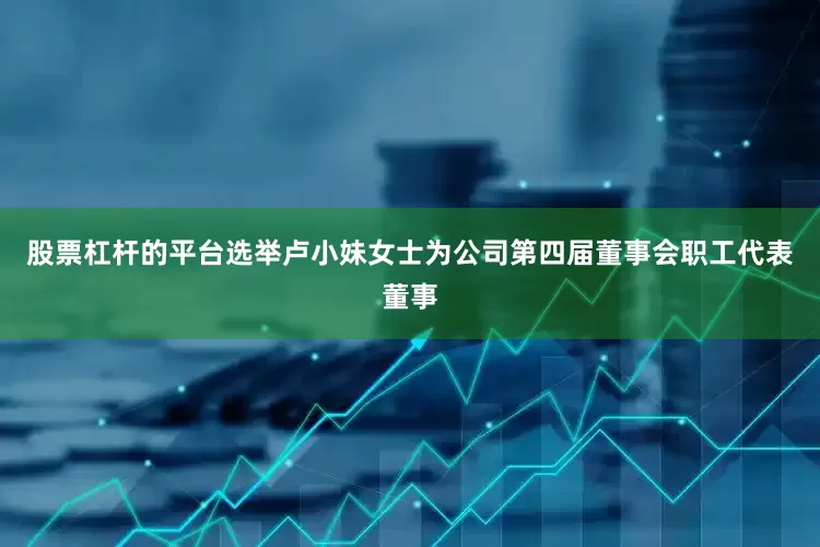 股票杠杆的平台选举卢小妹女士为公司第四届董事会职工代表董事