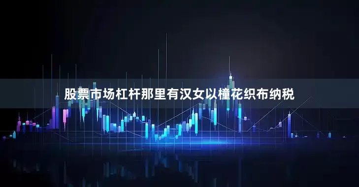 股票市场杠杆那里有汉女以橦花织布纳税