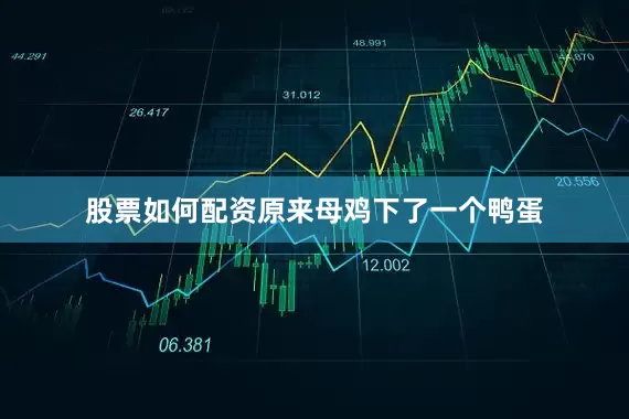 股票如何配资原来母鸡下了一个鸭蛋