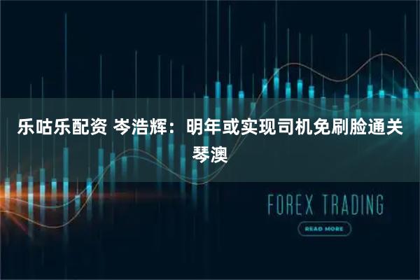 乐咕乐配资 岑浩辉：明年或实现司机免刷脸通关琴澳
