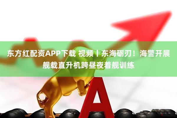 东方红配资APP下载 视频丨东海砺刃！海警开展舰载直升机跨昼夜着舰训练