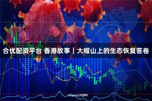 合优配资平台 香港故事｜大帽山上的生态恢复答卷